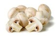 Hoe kweek ik lekkere champignons